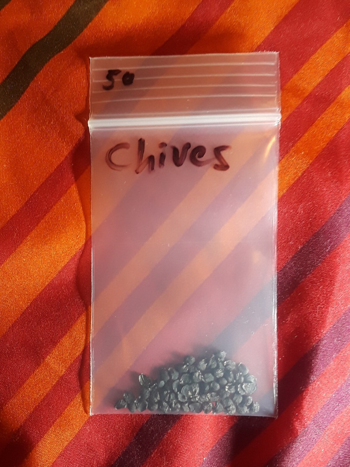 Carolina Chives Seeds, NON-GMO, Variety Sizes Sold, FREE SHIPPING 3rd Gen 7B