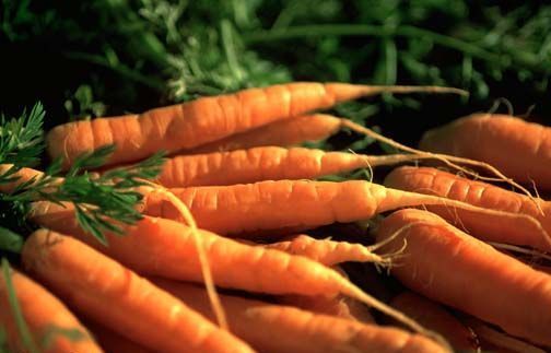 Carrot Seeds – Danvers 126, (Daucus carota)