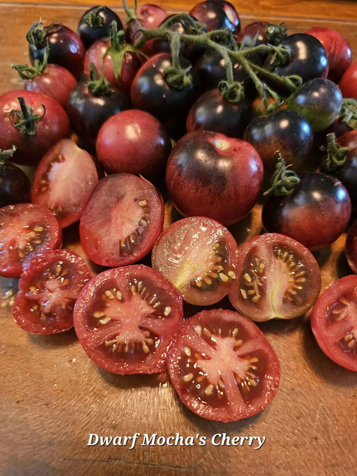 10 seeds Dwarf Mocha’s Cherry Tomato ORGANIC Rare Anthocyanin Variety