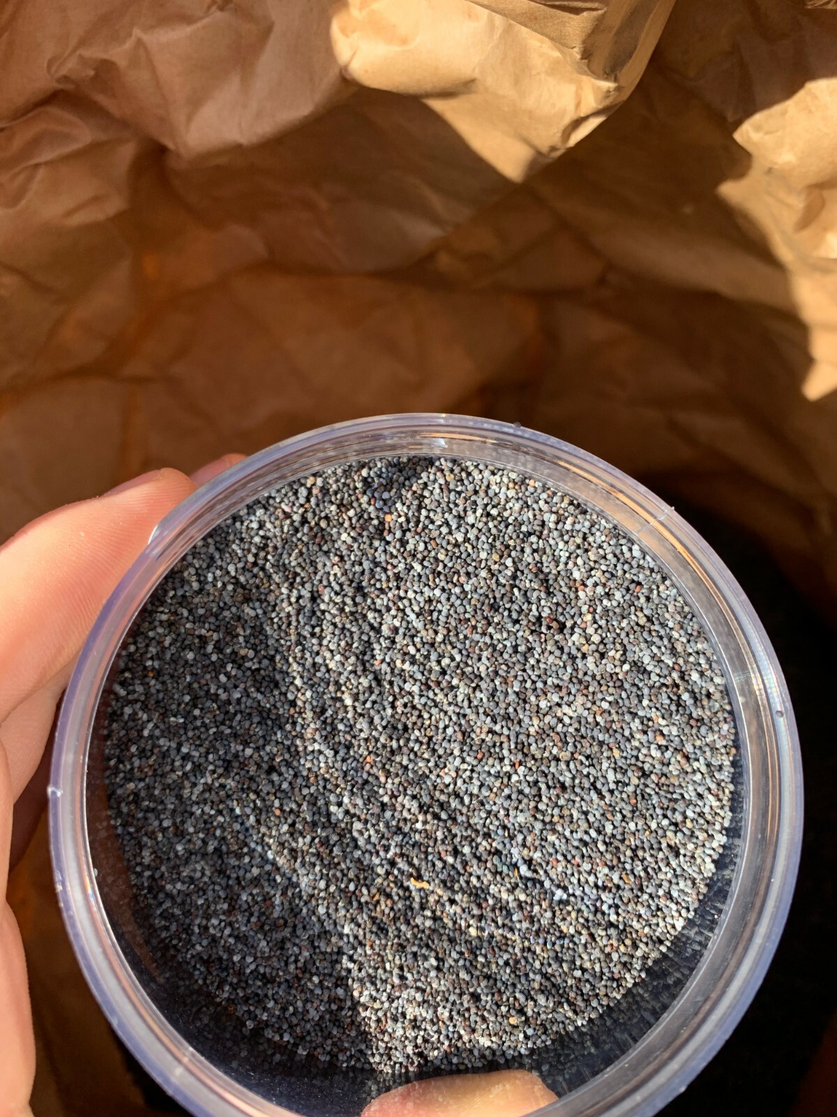Poppy Seeds uk (NEW SHIPMENT (2/15/23) 2023 Harvest! 3-20lb previous supplier SN