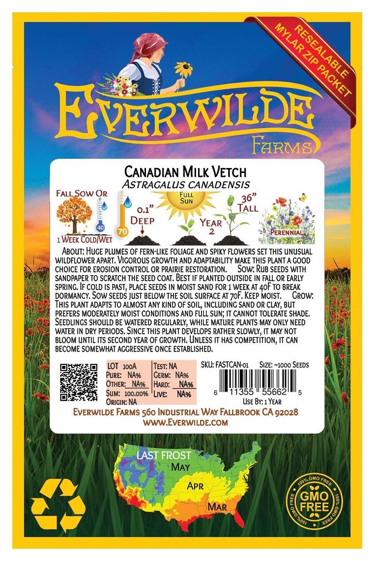 1000 Canadian Milk Vetch Wildflower Seeds – Everwilde Farms Mylar Seed Packet