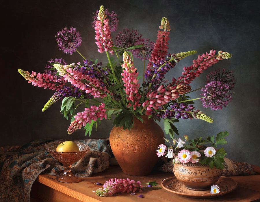 1/2 oz, 500+ seeds Russell Lupine Perennial Mixed Colors Lupinus Polyphyllus
