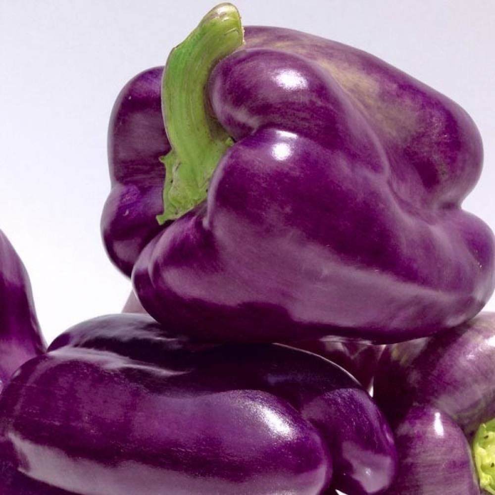 300 Seed Ultimate Heirloom Bell Pepper Combo Pack – NonGMO Super Sweet Peppers!!