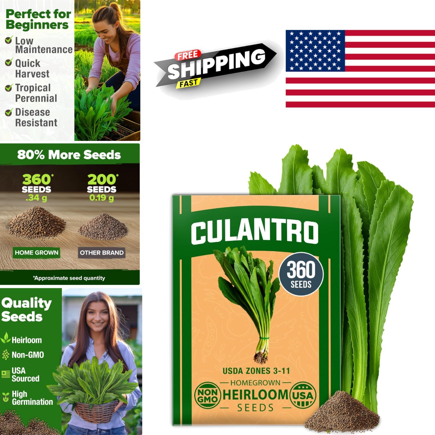 Culantro Seeds 360 Indoor Outdoor Herb Grow Guide Included High Germination Rate