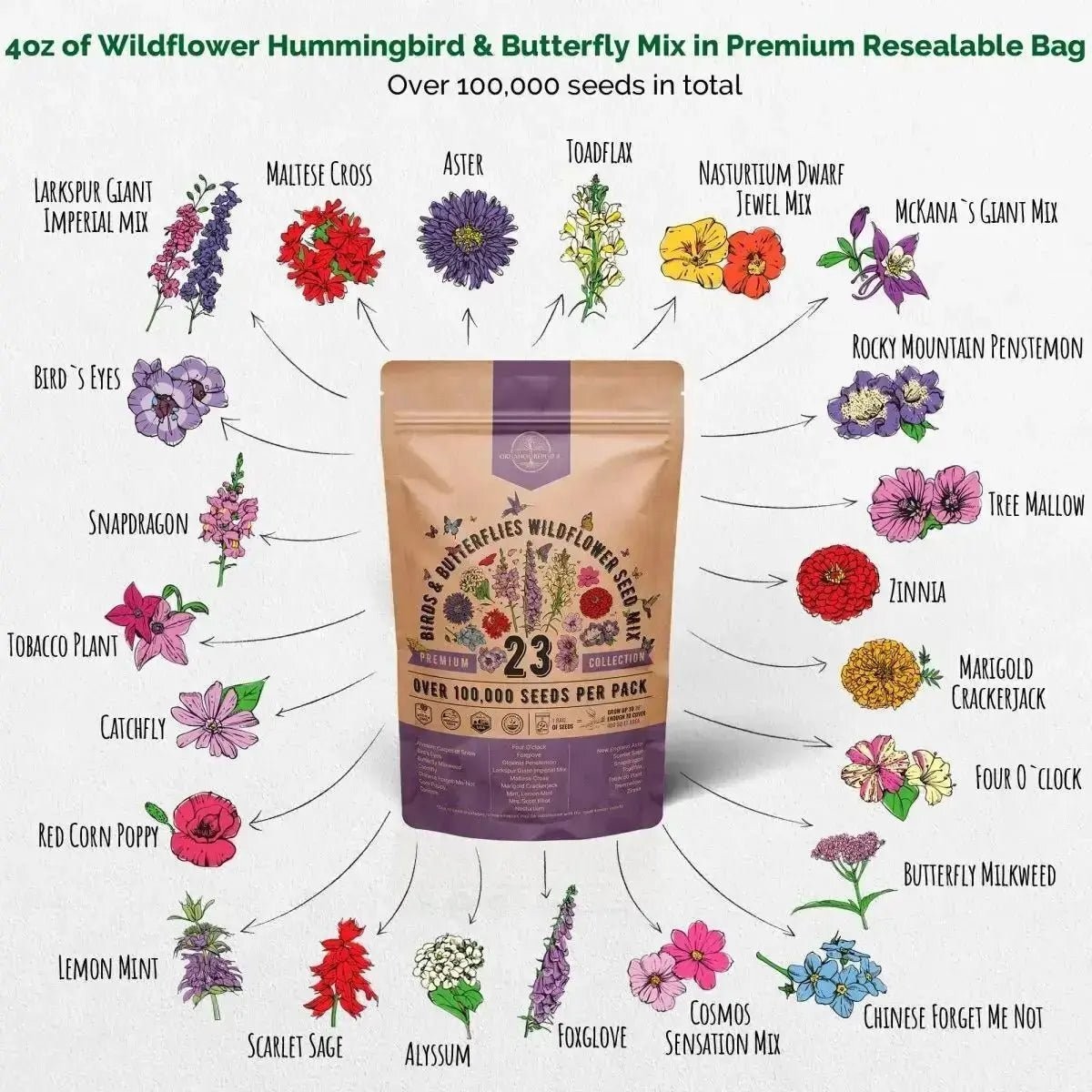 23 Wildflower Seeds Annual & Perennial Mix