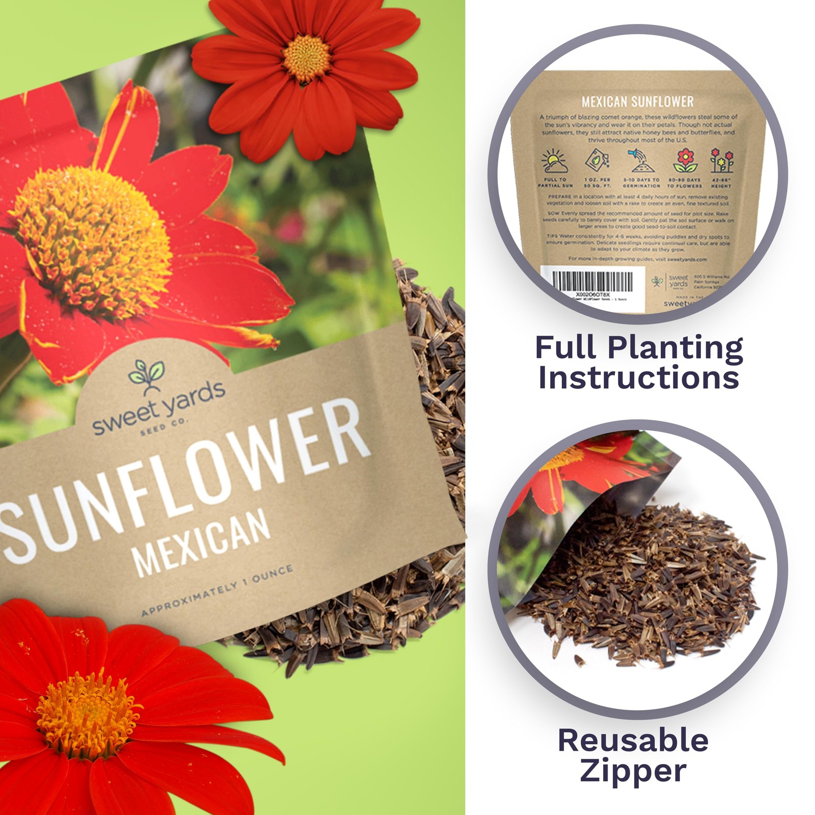 Mexican Sunflower Seeds – Extra Large Packet – Over 2,500 Open Pollinated Non…