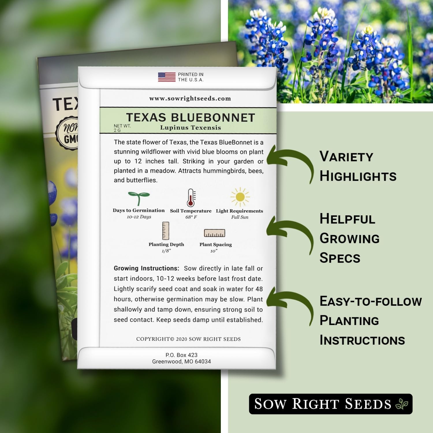 Beautiful Bluebonnet Seeds – 1 Count, Full Instructions for Quick Germination