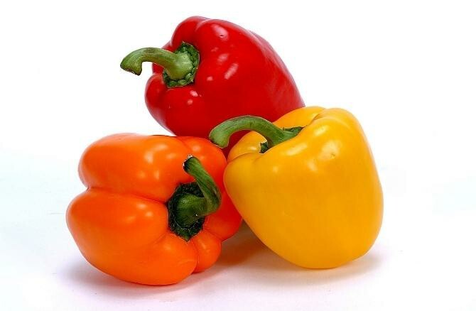 40 Bell Pepper Seeds NON-GMO, Mixed Colors, Fresh Garden Snacking-Yummy!
