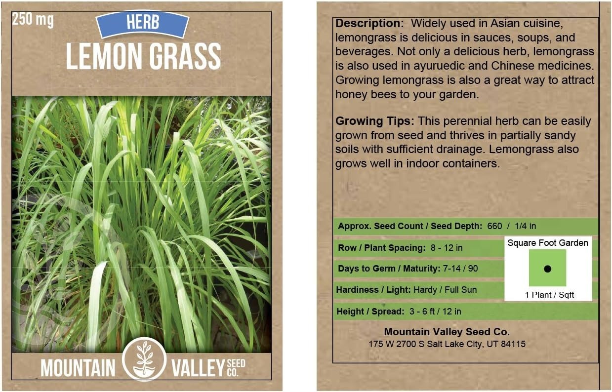 High Germination Lemongrass Seeds – 250 Mg for Winter Planting – Indoor/Outdoor