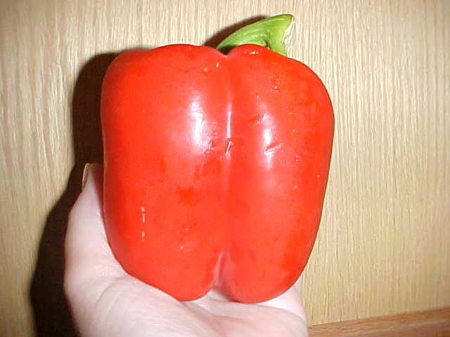 100 SEEDS ORGANIC SWEET VERY LARGE DARK RED BELL PEPPER SEEDS