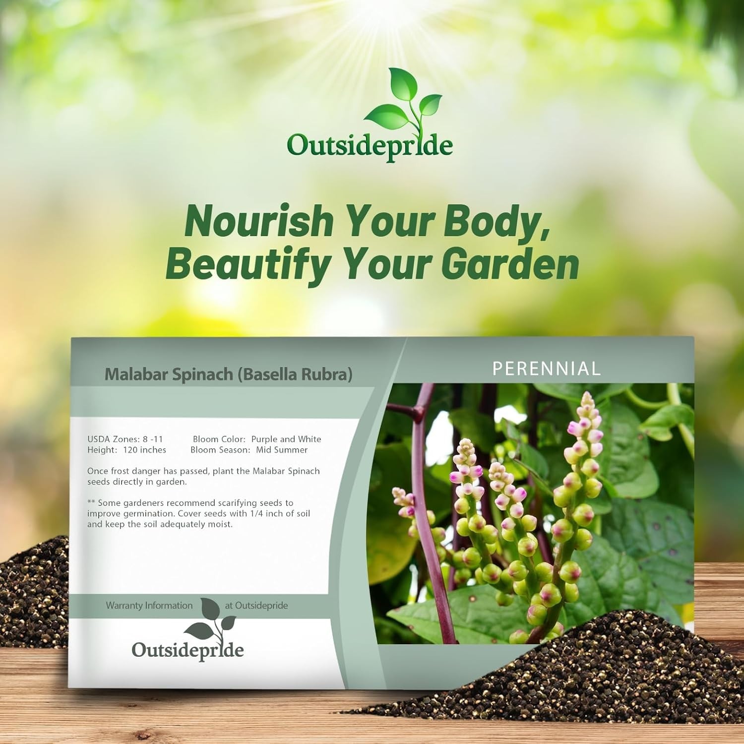 Basella Rubra Malabar Spinach Seeds – 100 Pcs. Perennial, Humid & Heat-Tolera…