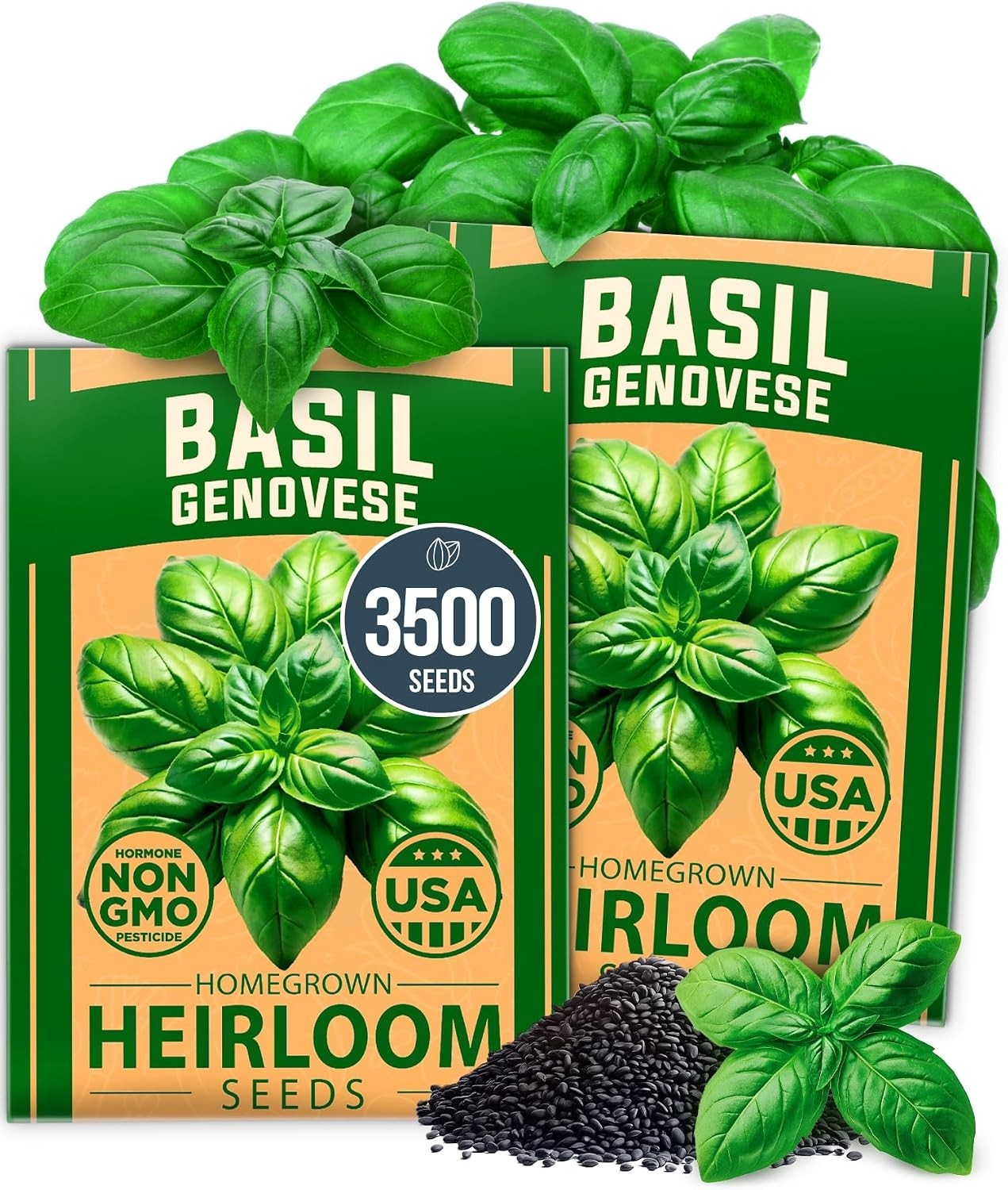 HOME GROWN Genovese Basil Seeds 2 Pack – 3500 Non GMO Heirloom Basil Seeds for P