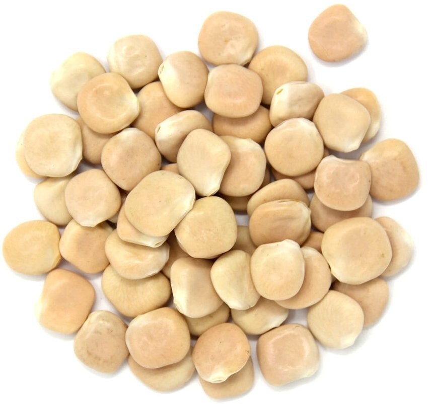 Seeds (50 or 100) Heirloom True Italian Christmas Lupini Beans Lupinus albus
