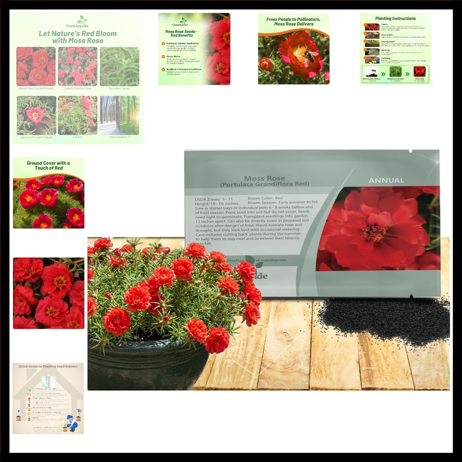 Red Moss Rose Seeds – 5000 Pcs Annual, Drought & Heat Tolerant, Pollinator Fr…