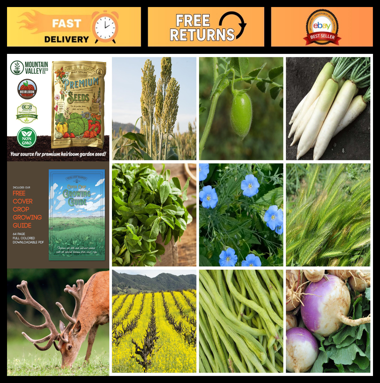 No-Till Cover Crop Seed Mix – 5 lb, 1,000 Sq. Ft. – 9 Winter-Kill Varieties, Non