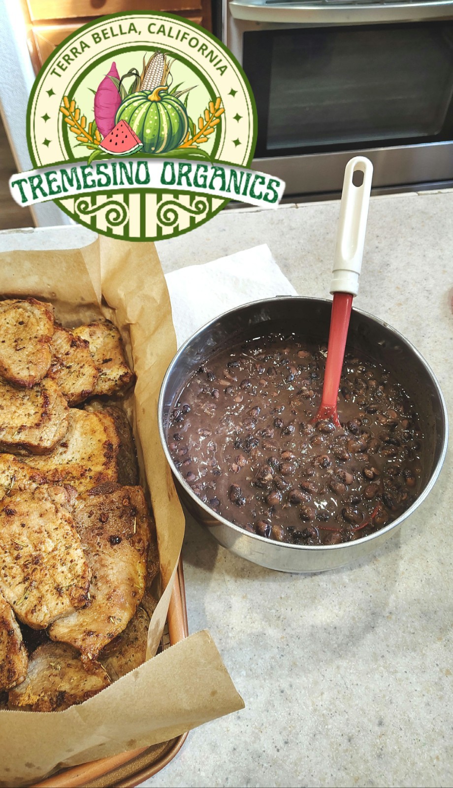 Rare Vaquita Negro Beans, 20 Seeds- Frijol Vaquita Negro de Morelos, 20 Semillas