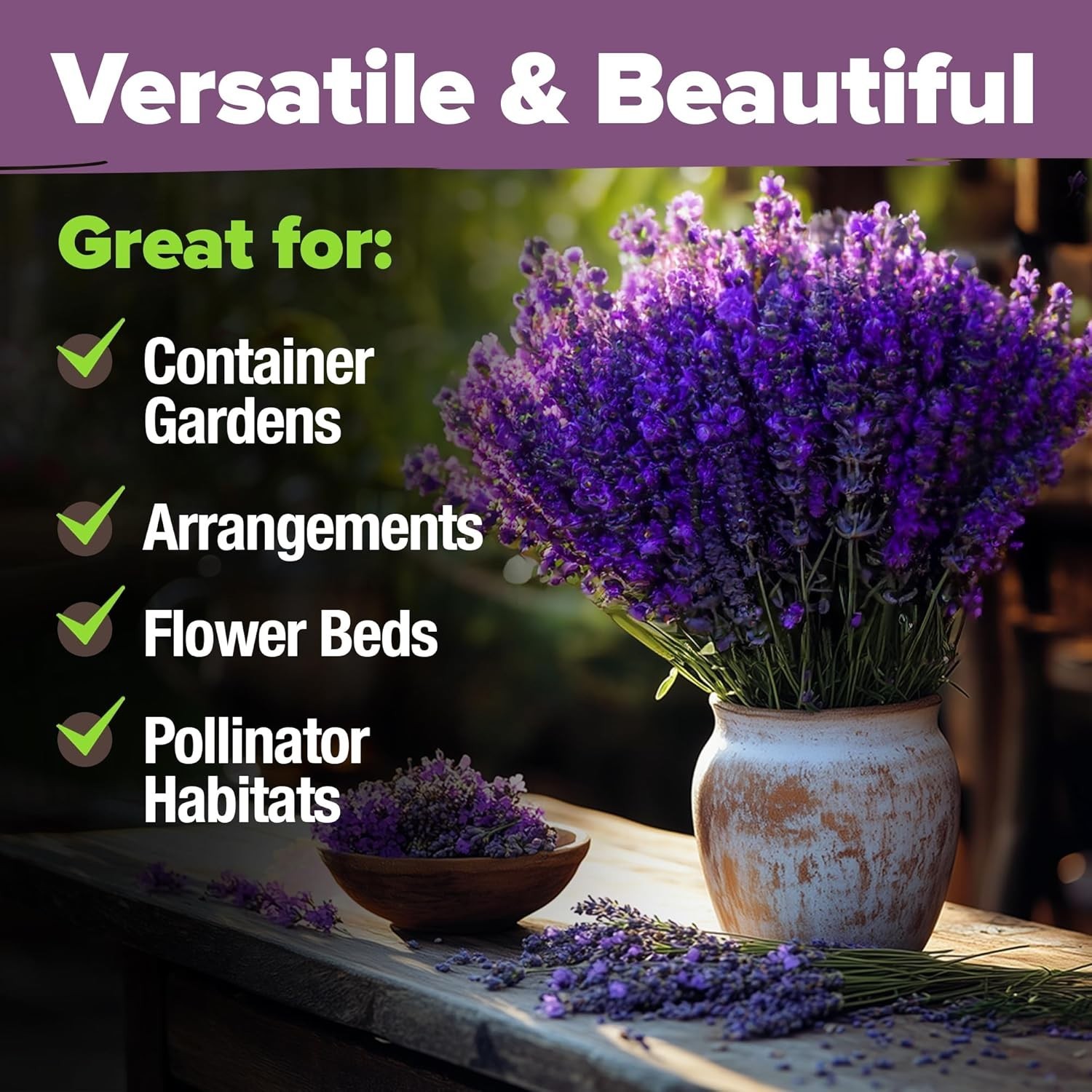 Low Maintenance Non-GMO Lavender Seeds – 1,500+ Blooms for Any Skill Level