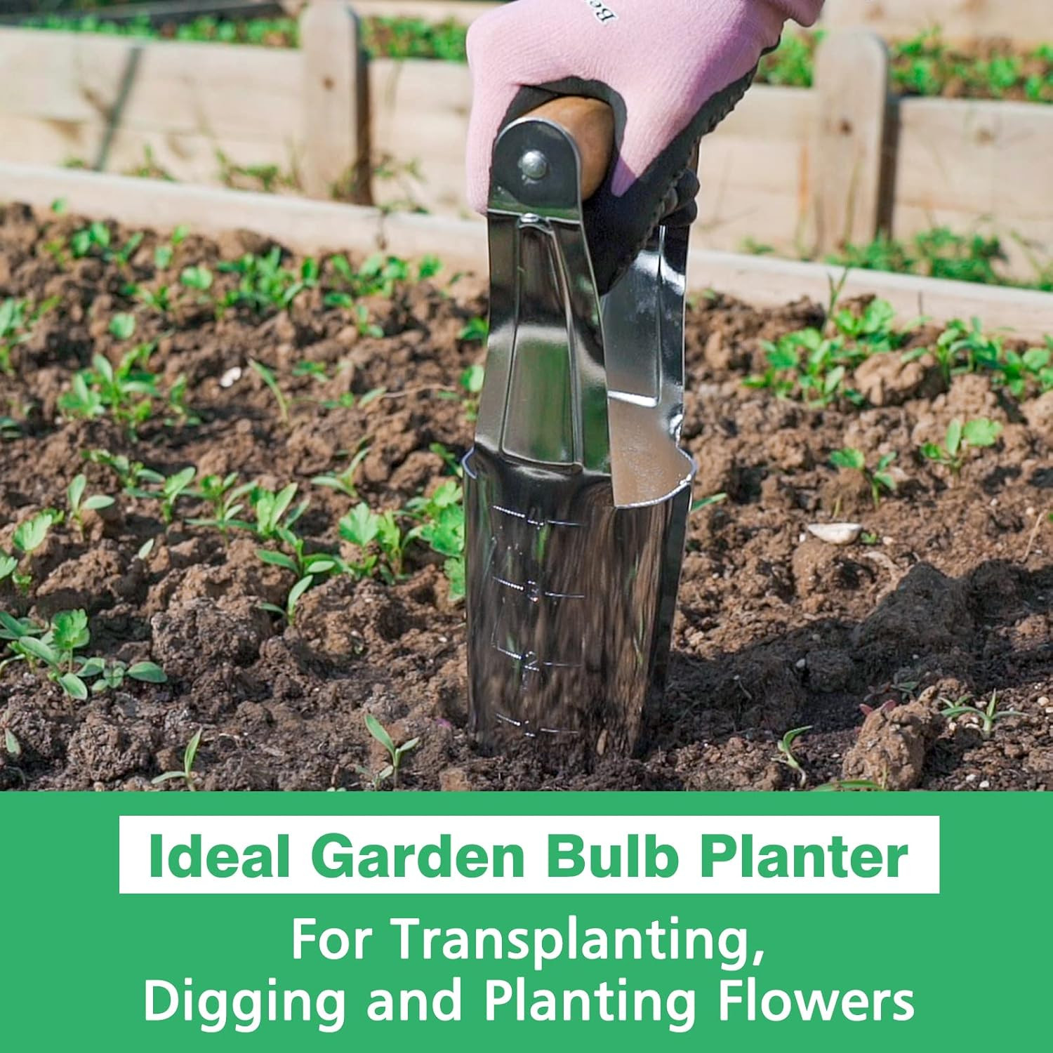Berry& Garden Bulb Planter with 4 Inches Depth Mark, Stainless Steel Gardening B
