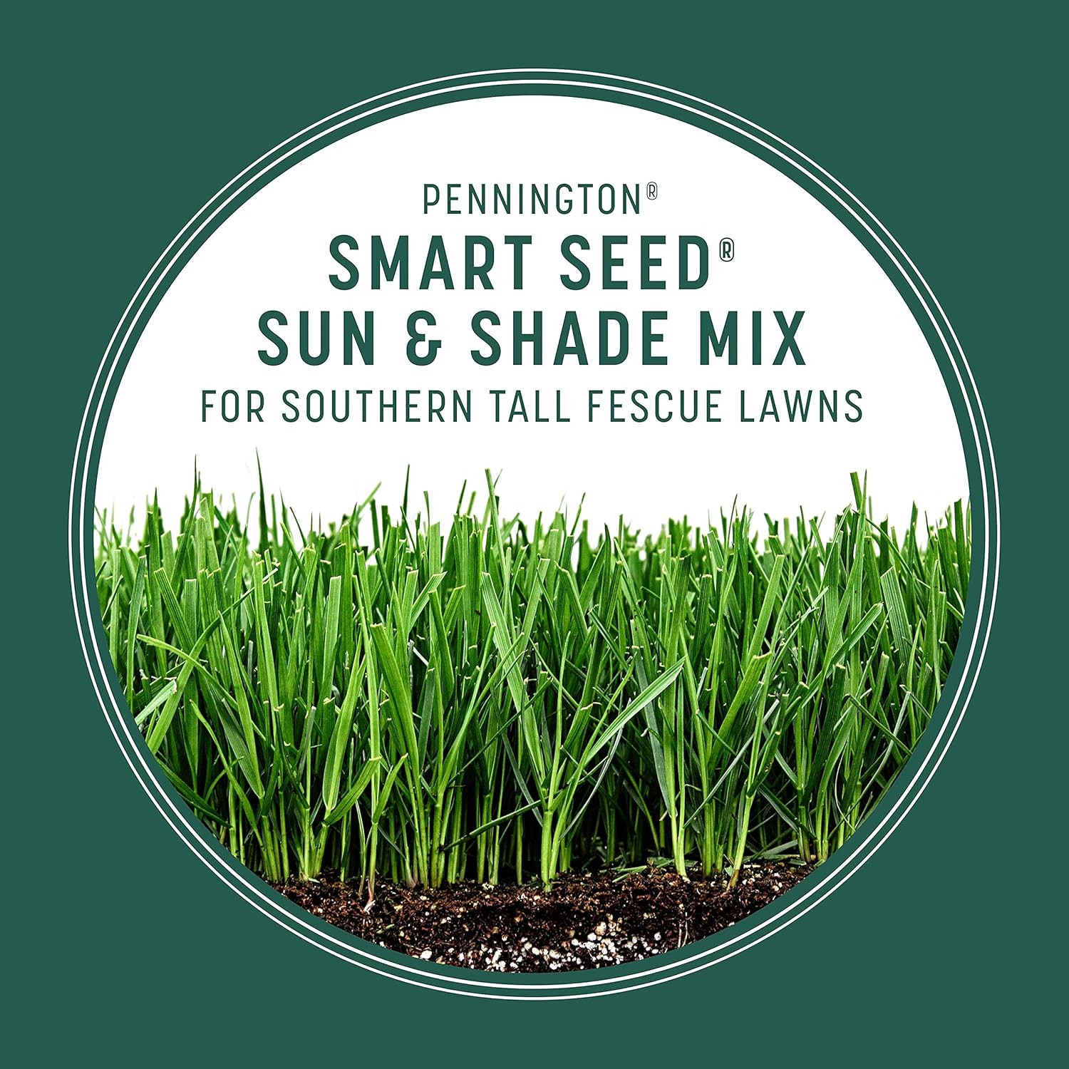 Pennington Smart Seed Sun & Shade Mix South, Tall Fescue Grass Seeds for Lawn, 2