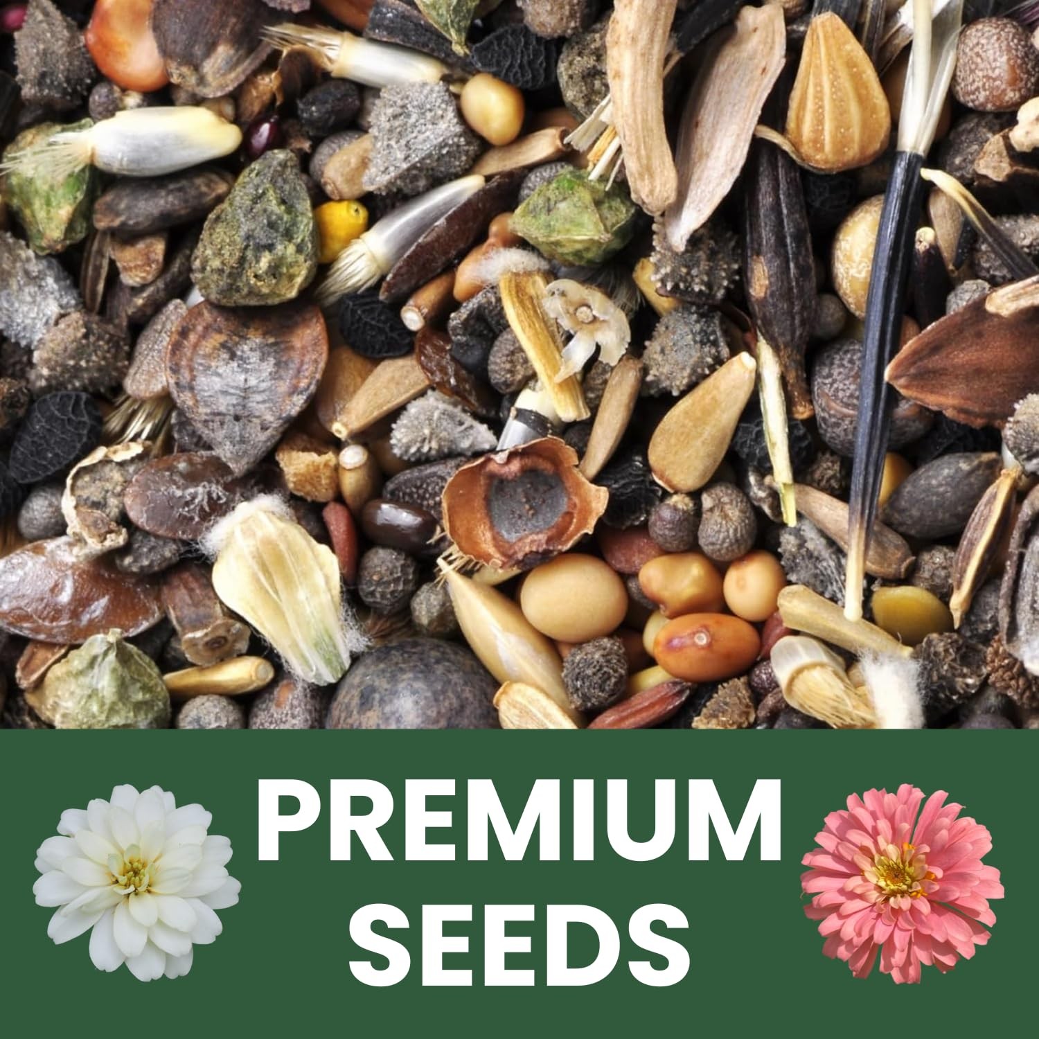 Zinnia Seeds for Planting – 4,000 Count, 1 Ounce Pouch, Easy Growth