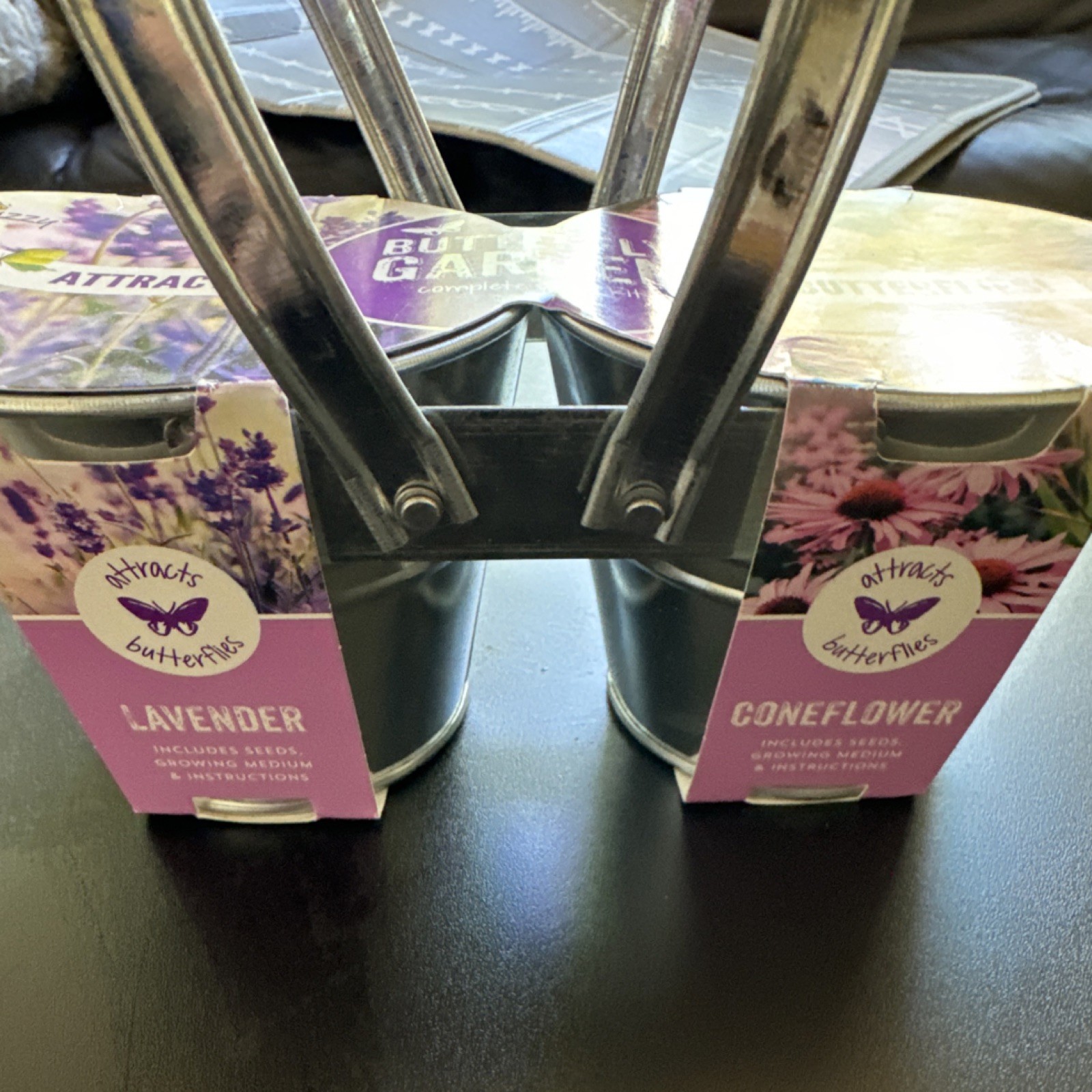 Buzzy Grow Kit Lavender & Coneflower Purple Pink Attracts Butterflies