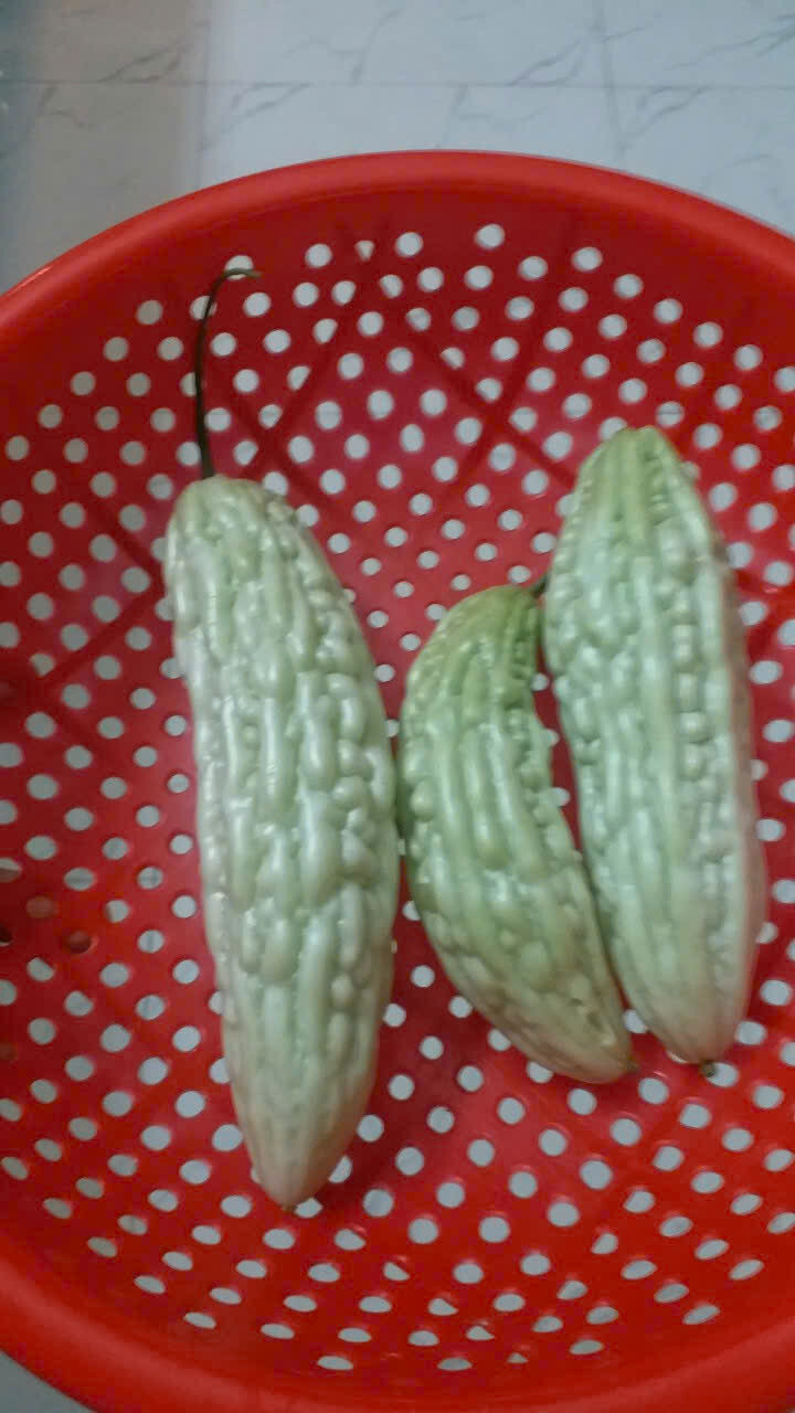 White Skin Bitter Gourd seeds, Heirloom, Asian Vegetable by Mai’s Family