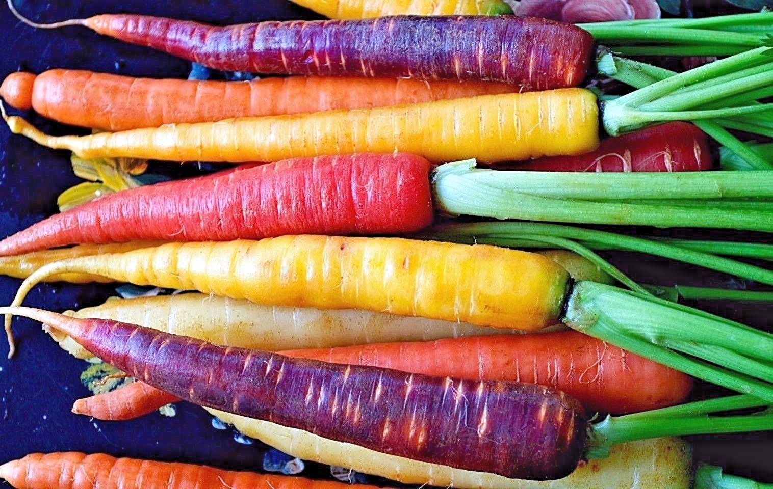 Rainbow Carrot Blend Mix, Seeds, Colorful, NON-GMO, Beta Carotene, Vitamin A