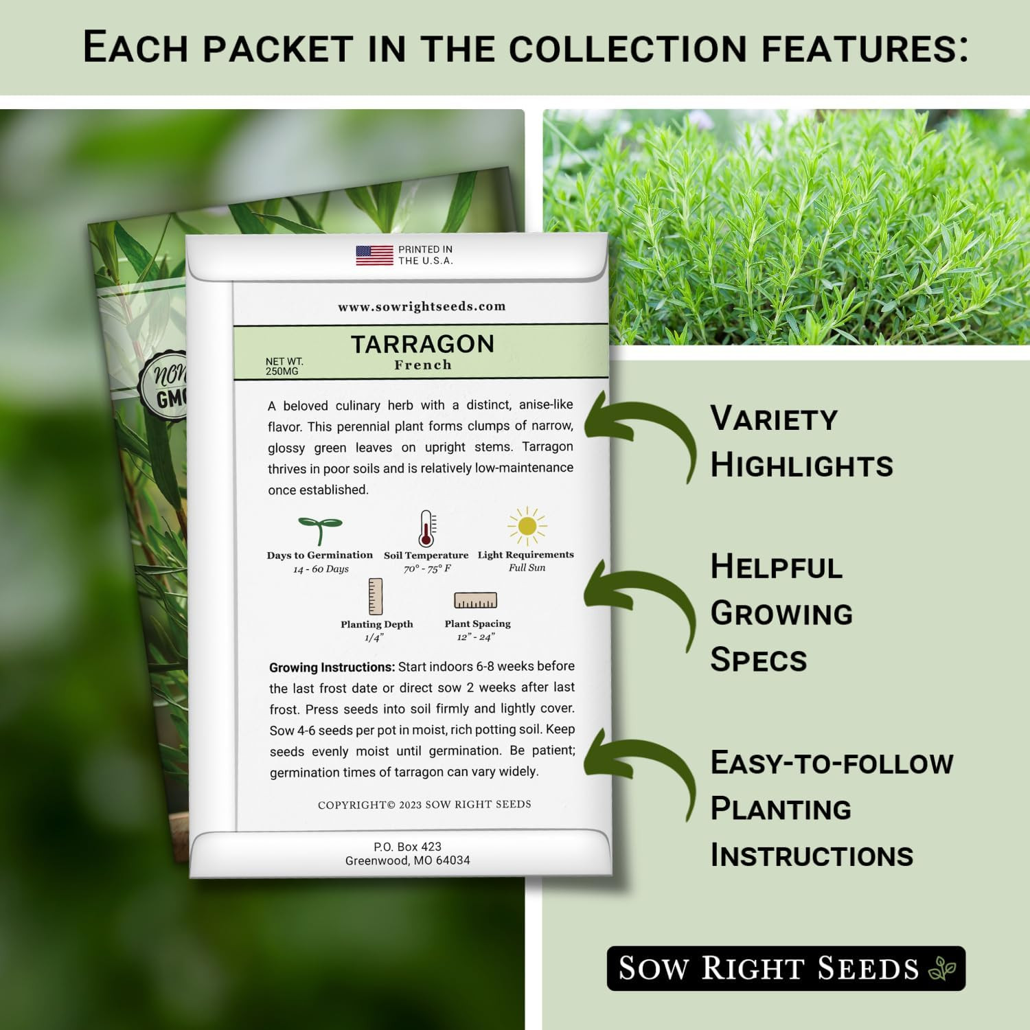 – Tarragon Seed Collection for Planting – French and Russian Varieties – Non-Gmo
