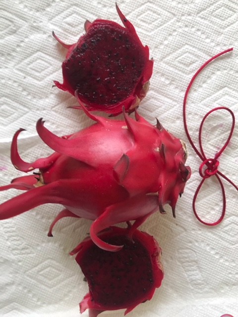 DRAGON FRUIT (Dark Red Flesh) 7 – 10 INCHS CUTTING (2) PIECES