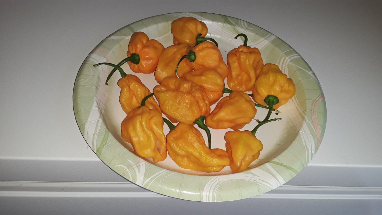 75 Large Orange Habanero Hot Peppers Seeds Fresh