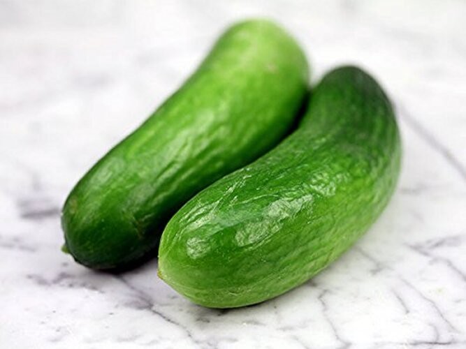 30 Muncher Burpless Sweet Cucumber Seeds, Heirloom Non-GMO, Non-Bitter and