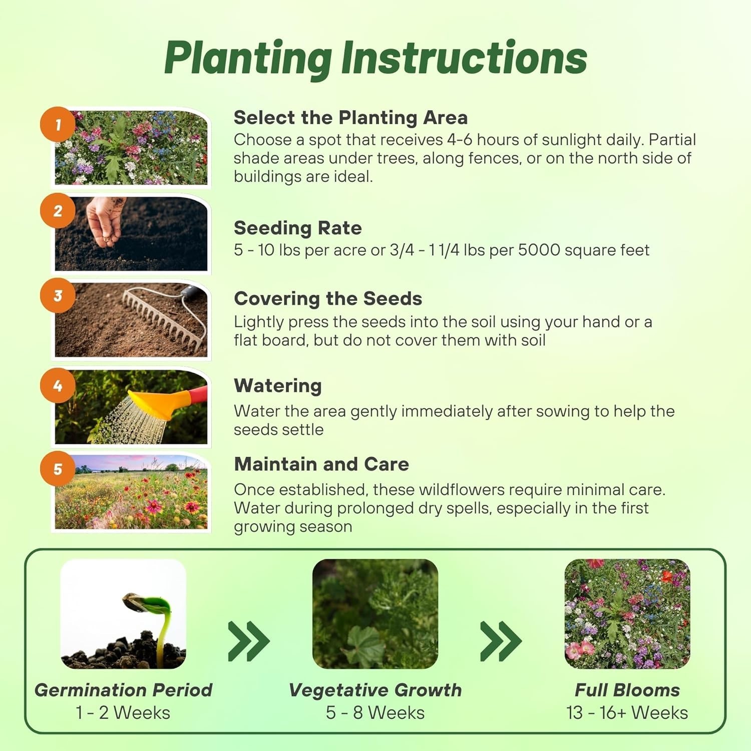 Diverse 1 lb Wildflower Seed Mixture for Partial Shade – Blooms Spring to Fall
