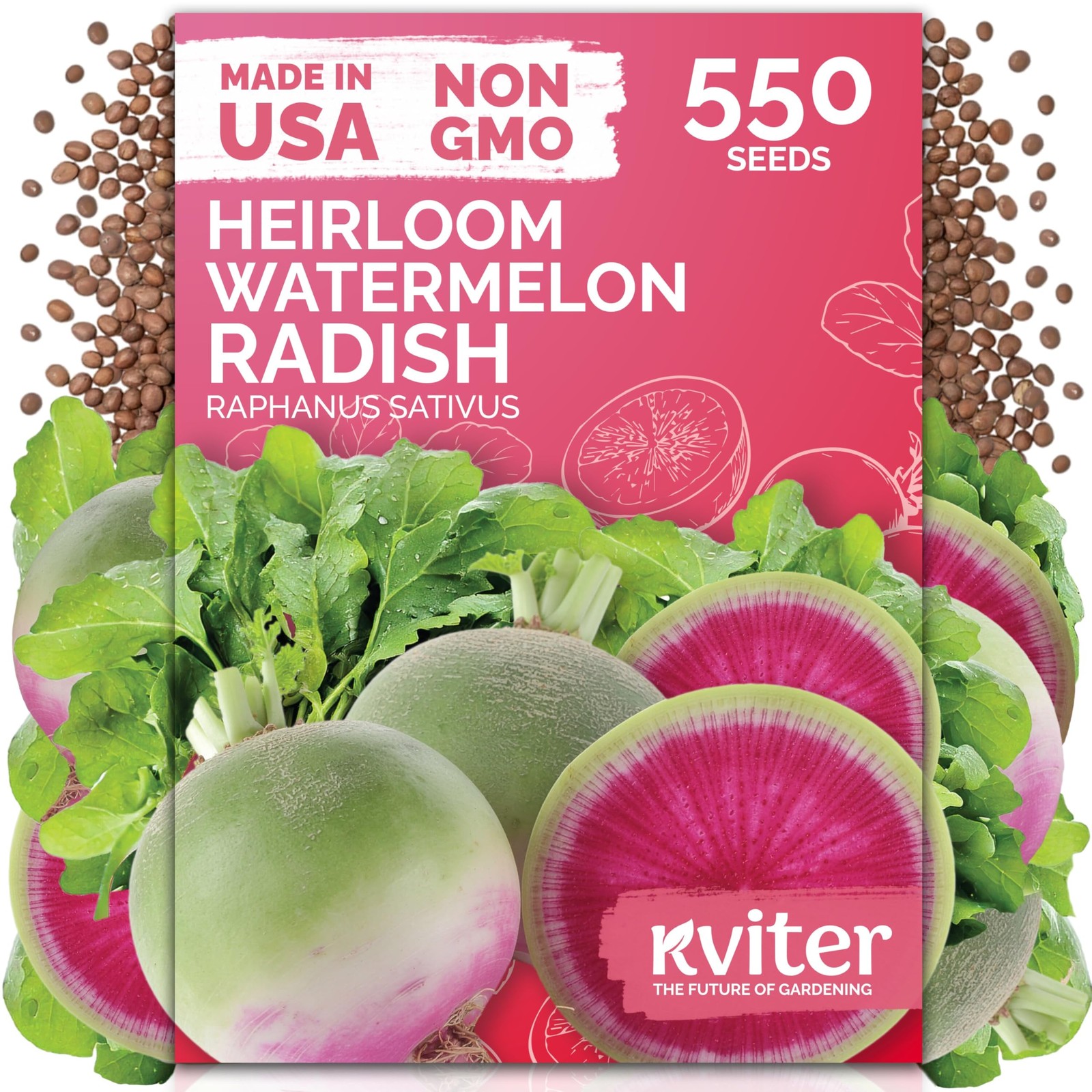 KVITER 550 Watermelon Radish Seeds (Raphanus Sativus)