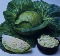 Cabbage All Seasons 1,000 seeds