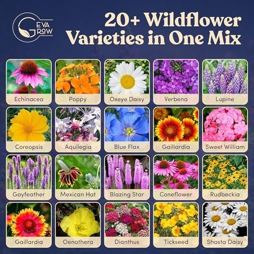 Bulk Wildflower Seed Shaker – 900,000+ Perennial Flower Seeds Mix, 1 lb Tub, Pla