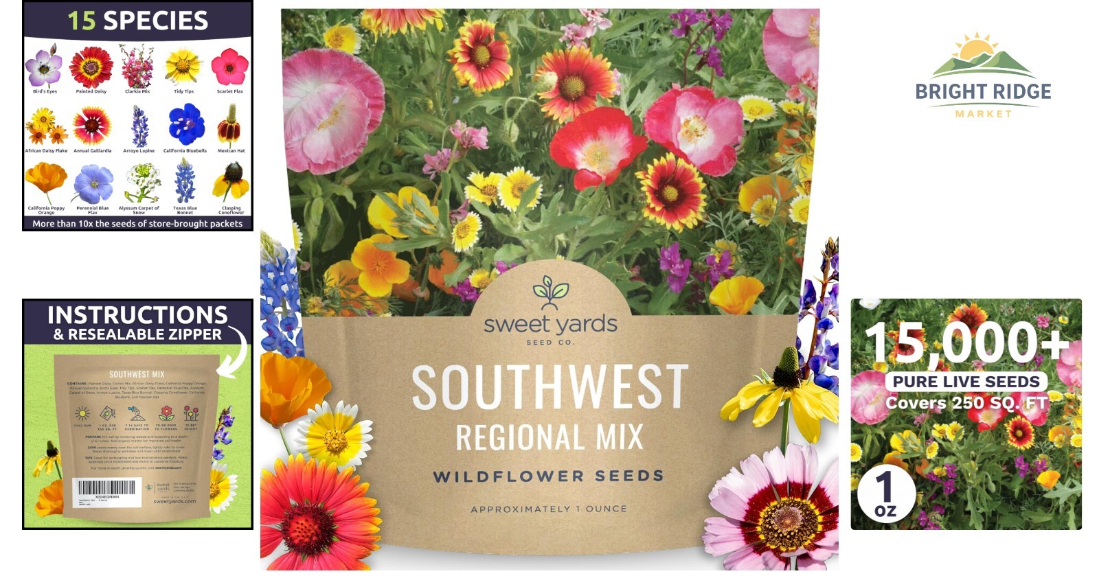 Giftable 1 Ounce Southwest Wildflower Seed Packet with Planting Instructions
