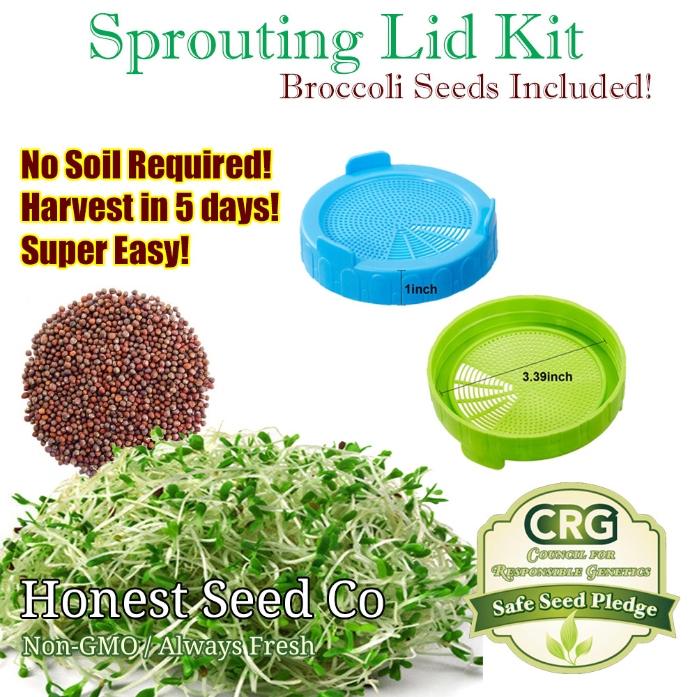 Sprouting Lid Kit w/ Broccoli Seeds | Non-GMO | Includes 2 Lids + Broccoli Seeds