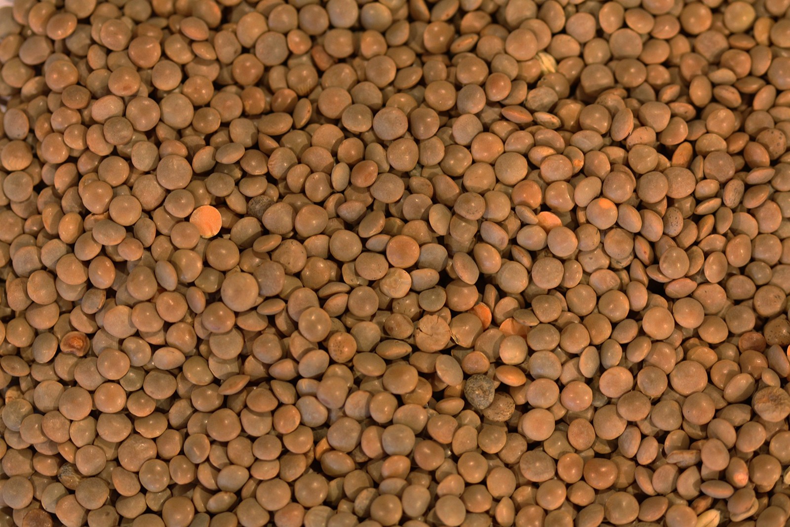 Yupik Organic Brown Lentils, 2.2 lb 35.2 oz, Pack of 6, NonGMO, Vegan, Gluten…