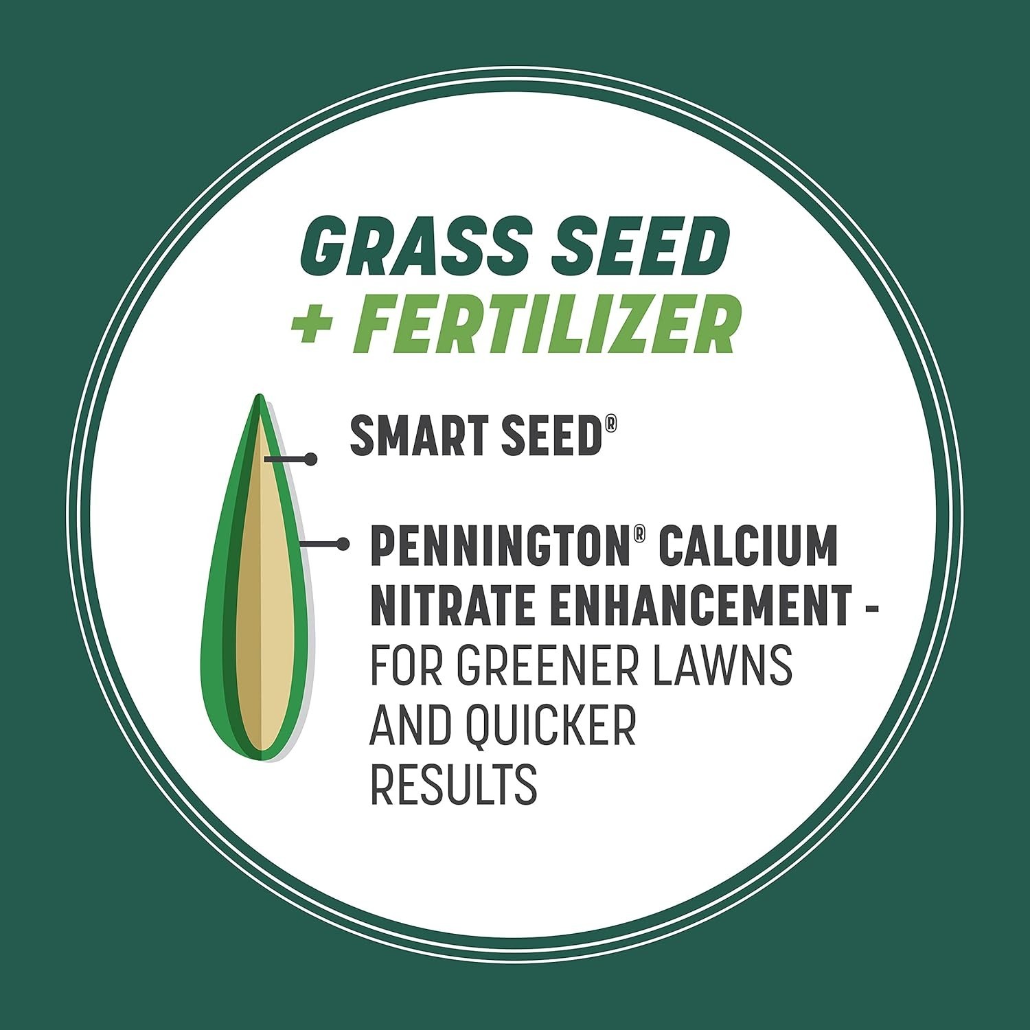 3 lb Tall Fescue Grass Seed for Sun and Shade – Perfect for Hot Climates