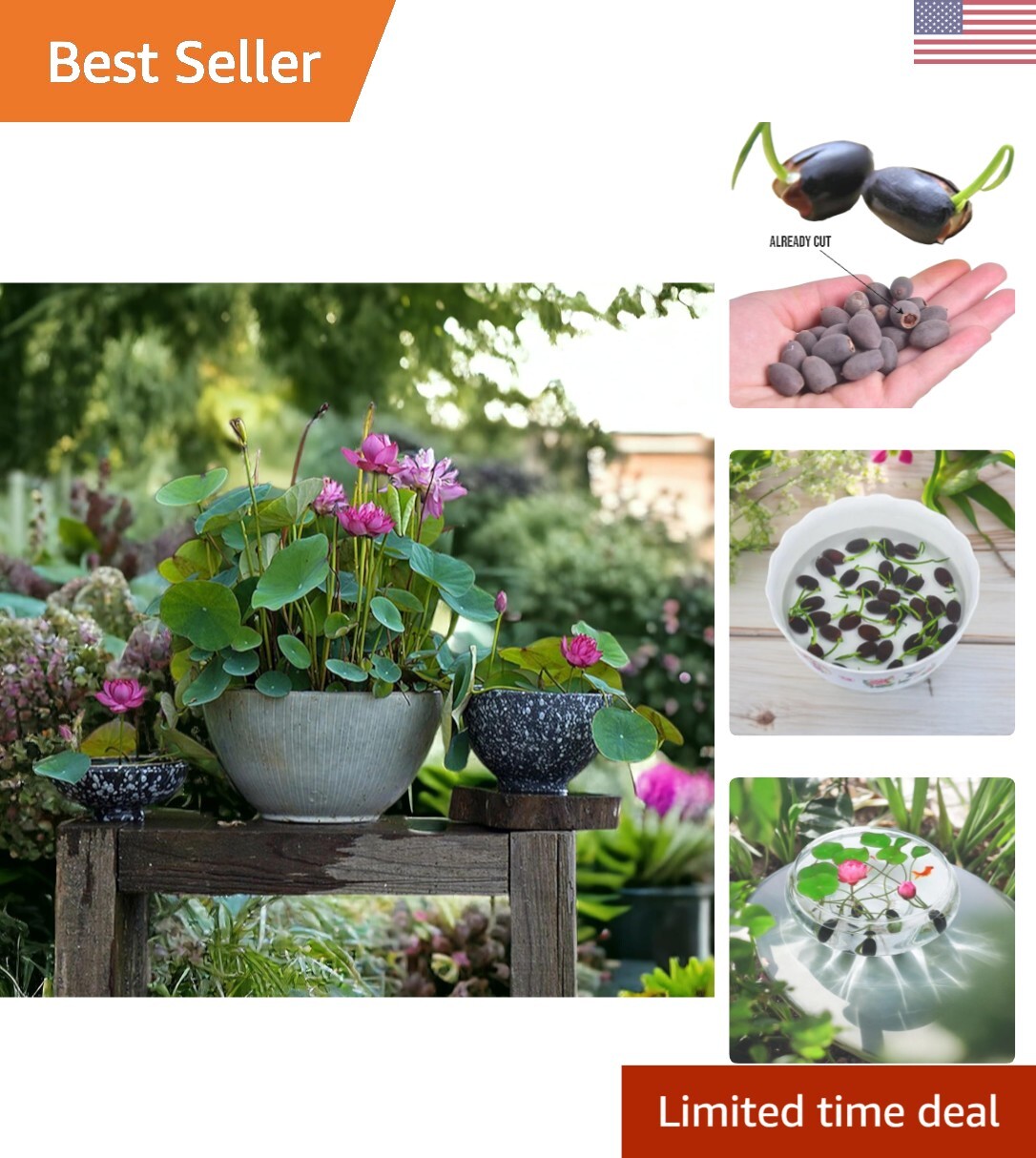 12pcs Mixed Pink, Red & Green Color Bowl Lotus Seeds for Planting Beautiful W…