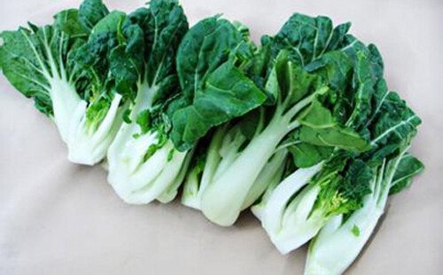200+ seeds Canton pak choi Chinese Cabbage BokChoy Napa Cabbage Siu Bok Choy USA