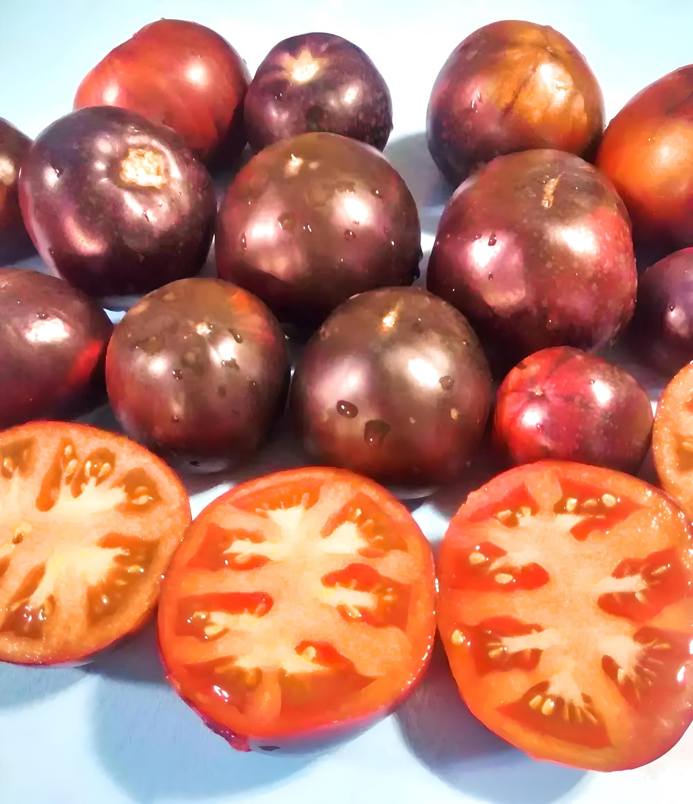 Black Beauty, Tomato
