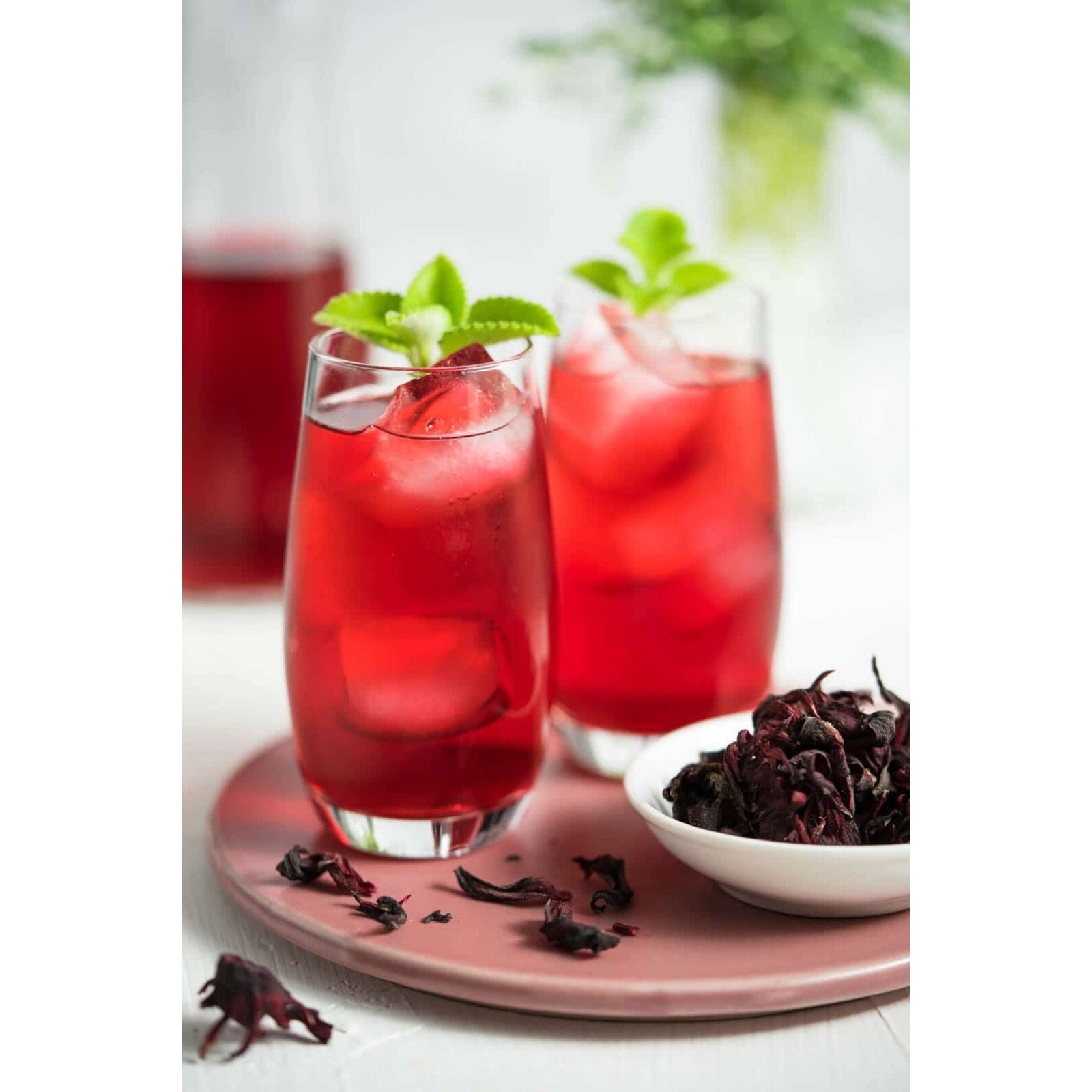 Red Hibiscus Roselle Asian Sour Leaf Seeds Non GMO Heirloom Herb Tea – 25