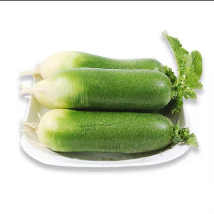 300+ Green Radish Seeds 300多粒水果青萝卜种子 2023年产新种子