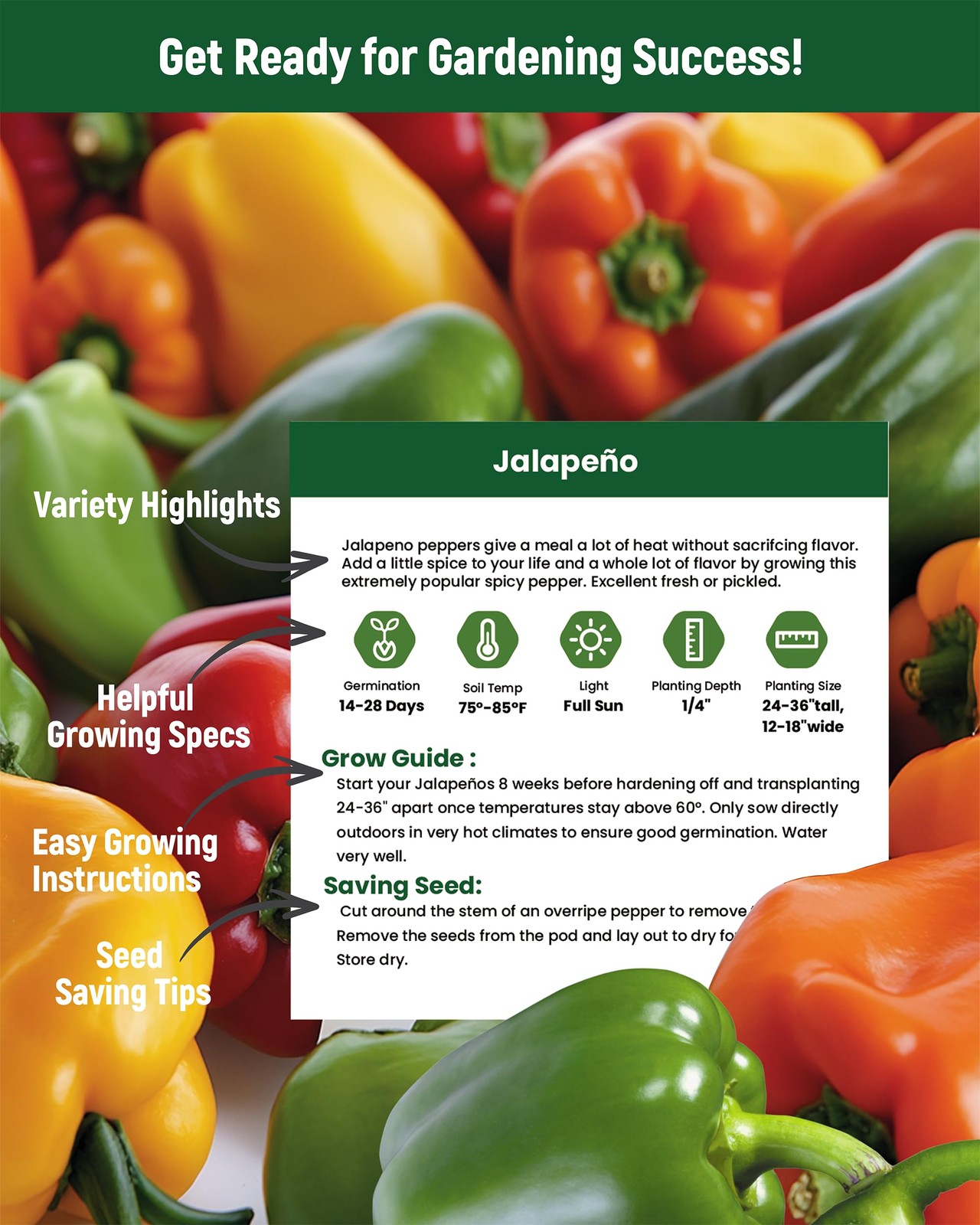 10 Variety Pepper Seeds for Planting – 2000+ 10 Seeds, green