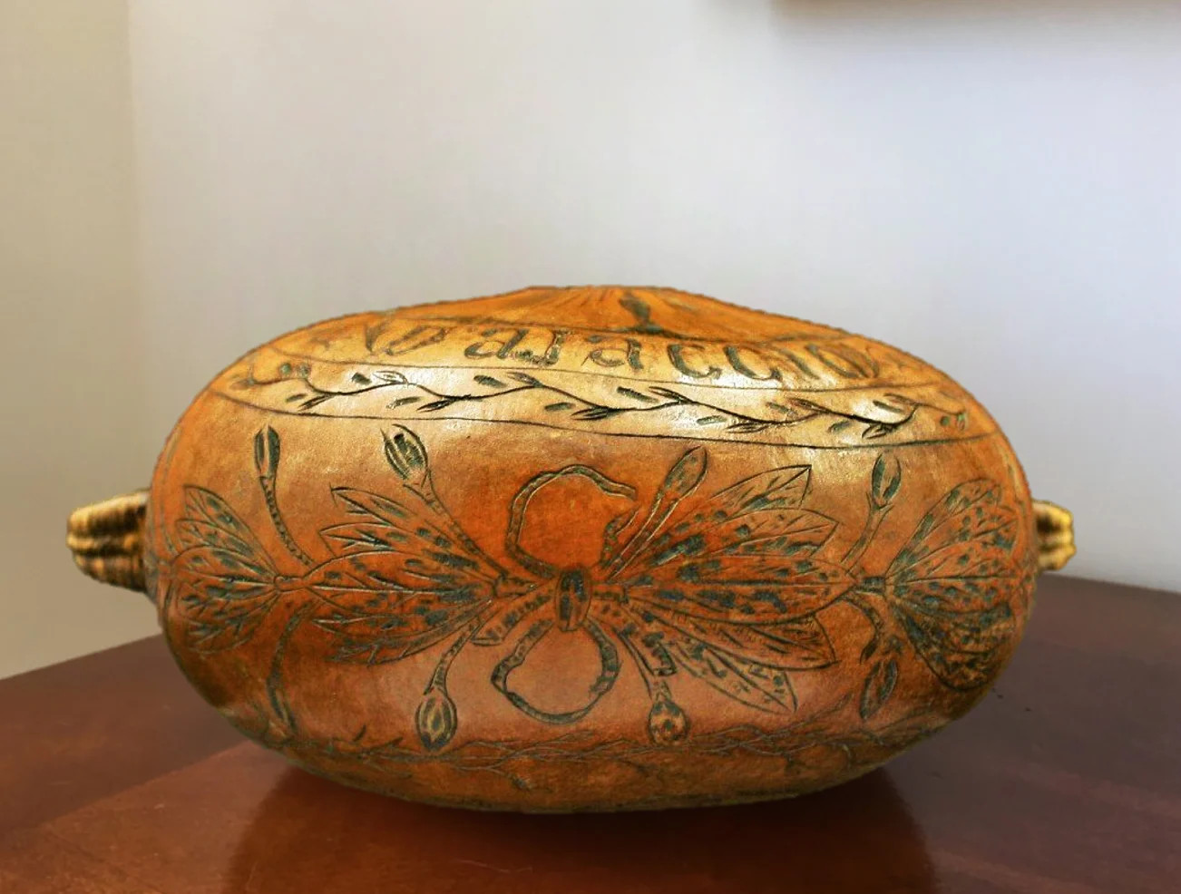 Corsican Gourd Seeds | Hard-Shelled African Bowl Bottle Art Gourds Seed 2024