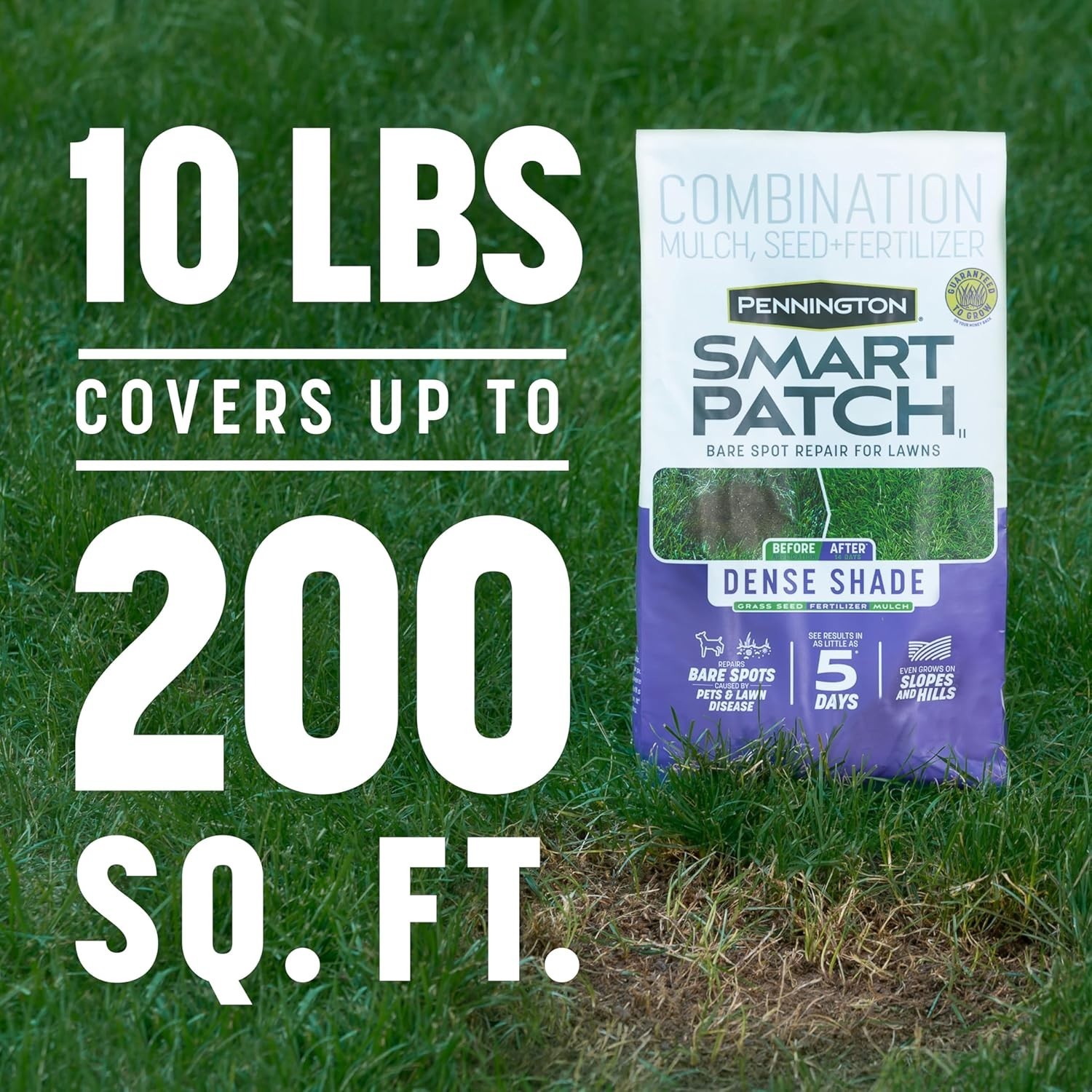 Smart Patch Dense Shade 10lb Grass Seed for Quick Bare Spot Repair in Lawns