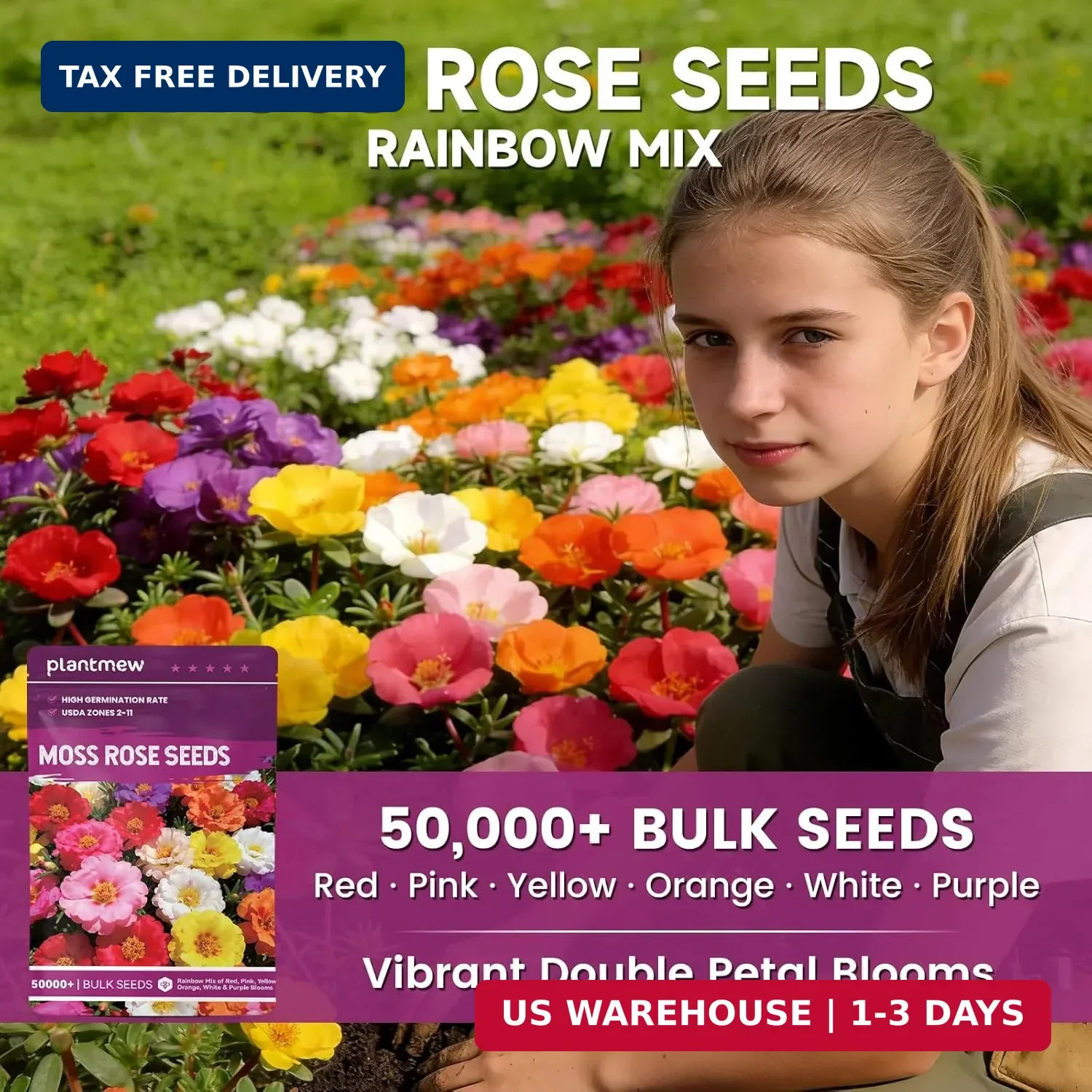 Moss Rose Seeds Bulk Pack – 50,000+ Heirloom Portulaca Seeds for Planting Outdoo
