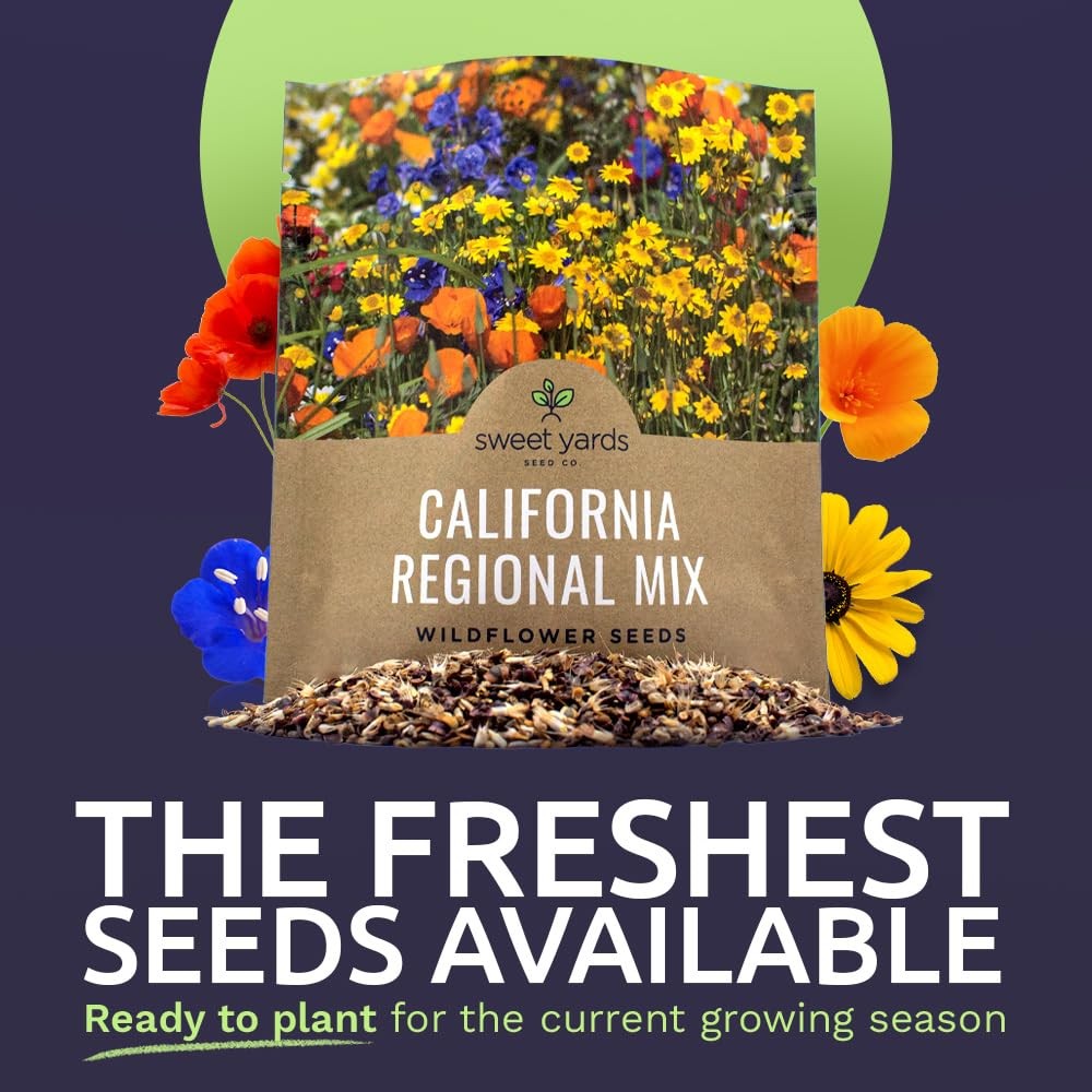 California Wildflower Mixture – Bulk 1 Ounce Packet – Over 7,000 Native Seeds…