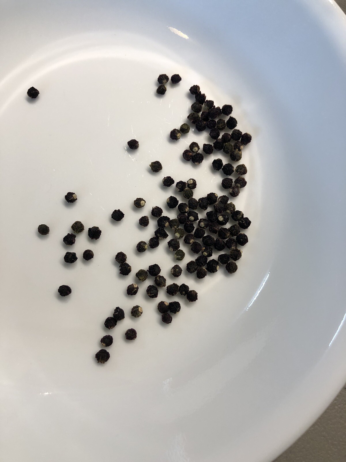 30 Green Malabar Spinach Seeds – Vietnamese Spinach – Mong Toi Xanh